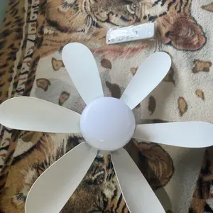 Cliente mostrando o ventilador LED recebido com o controle remoto